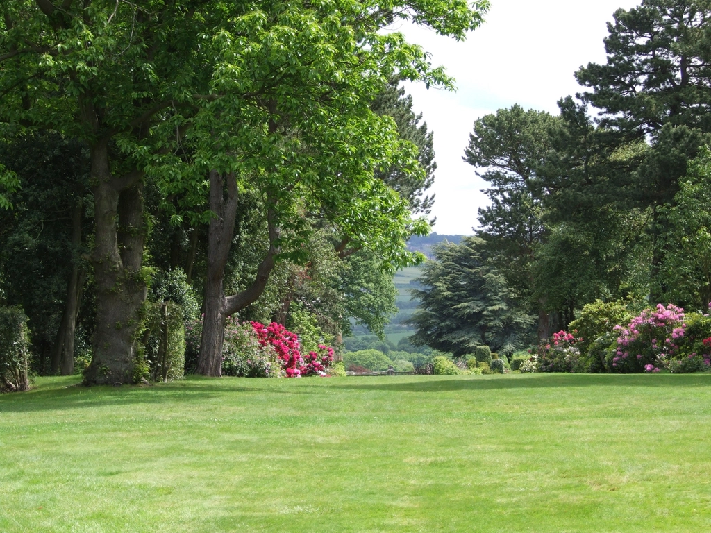 synthetic lawn Spokane
