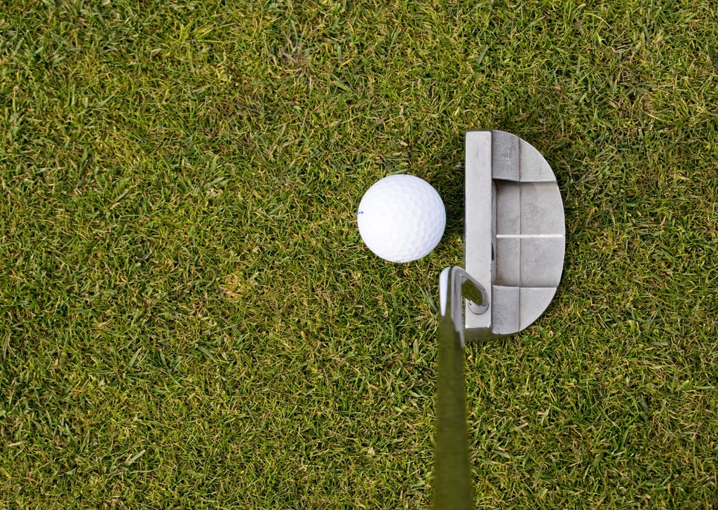 backyard putting green Coeur d'Alene