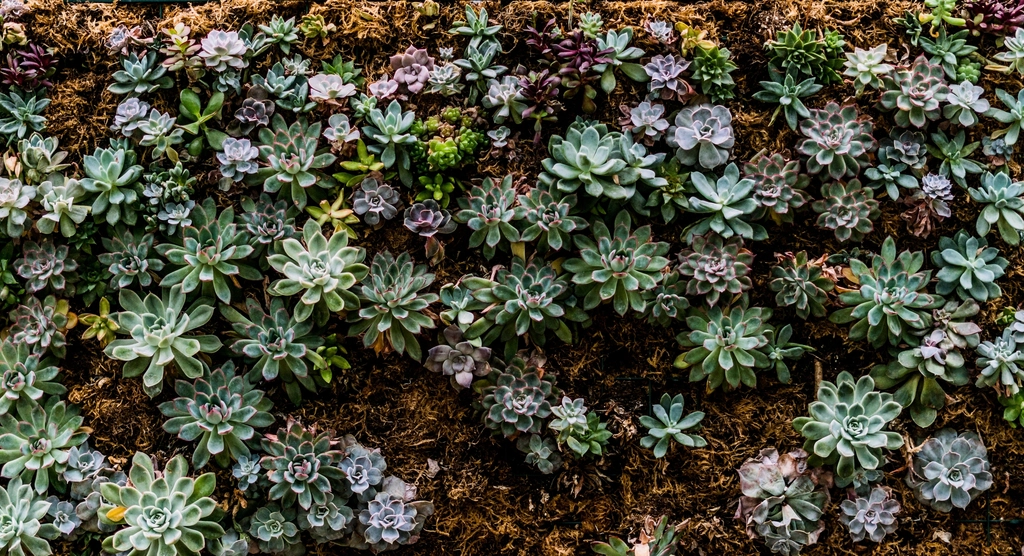 low maintenance landscaping Idaho